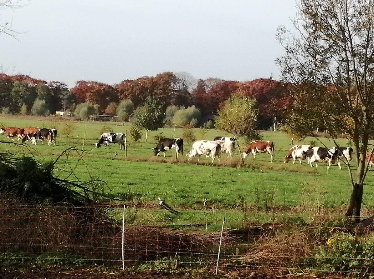 Streep door NPLG: diepe teleurstelling, grote zorgen